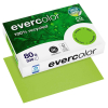  farbiges Kopierpapier Recyclingpapier Evercolor von Clairefontaine, DIN A4, 80 g/m², 500 Blatt, lindgrün 